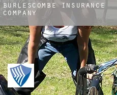Burlescombe  insurance company
