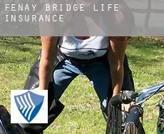 Fenay Bridge  life insurance