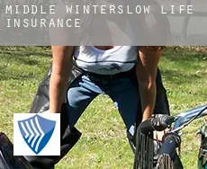 Middle Winterslow  life insurance