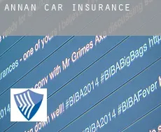Annan  car insurance