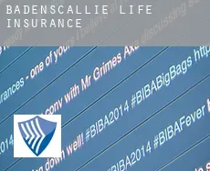 Badenscallie  life insurance