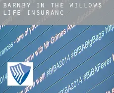 Barnby in the Willows life insurance