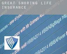 Great Snoring  life insurance