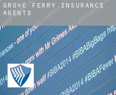 Grove Ferry  insurance agents