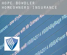Hope Bowdler  homeowners insurance