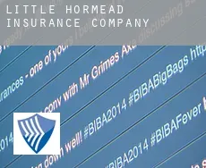 Little Hormead  insurance company