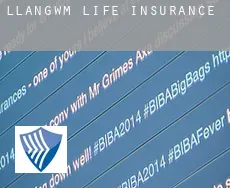 Llangwm  life insurance