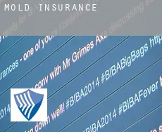 Mold  insurance
