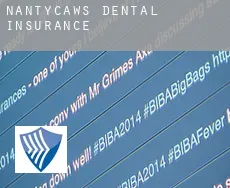Nantycaws  dental insurance
