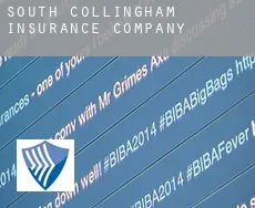 South Collingham  insurance company