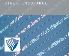 Totnes  insurance