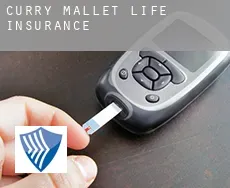 Curry Mallet  life insurance