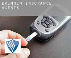 Drimnin  insurance agents