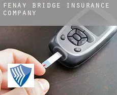 Fenay Bridge  insurance company