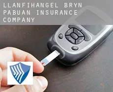 Llanfihangel-Bryn-Pabuan  insurance company