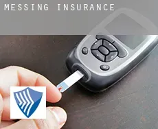Messing  insurance