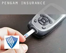 Pengam  insurance