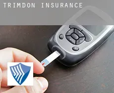 Trimdon  insurance