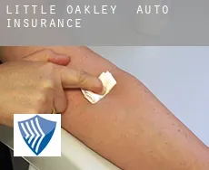 Little Oakley  auto insurance