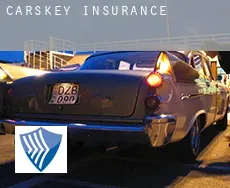 Carskey insurance