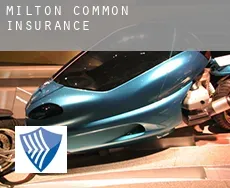 Milton Common  insurance