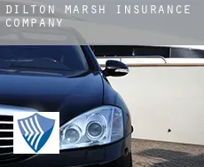 Dilton Marsh  insurance company