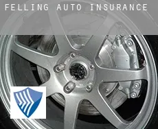Felling  auto insurance