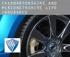Caernarfonshire and Merionethshire  life insurance
