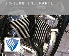 Torridon  insurance