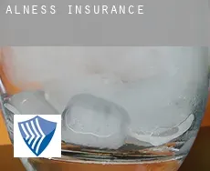 Alness insurance