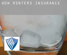 How  renters insurance