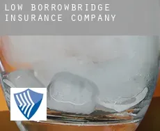 Low Borrowbridge  insurance company