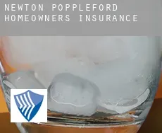 Newton Poppleford  homeowners insurance