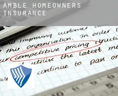 Amble  homeowners insurance