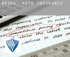 Brook  auto insurance
