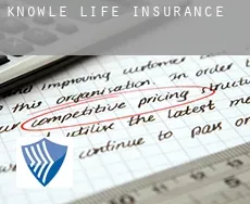 Knowle life insurance