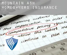 Mountain Ash homeowners insurance