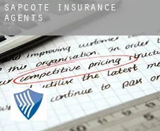 Sapcote  insurance agents