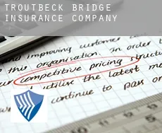 Troutbeck Bridge  insurance company