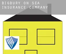 Bigbury on Sea  insurance company