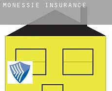 Monessie  insurance