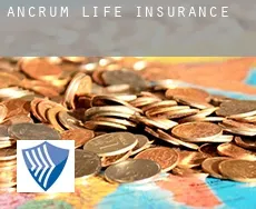 Ancrum  life insurance