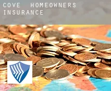 Cove  homeowners insurance