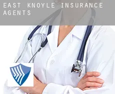 East Knoyle  insurance agents
