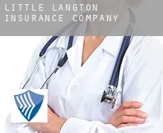Little Langton  insurance company