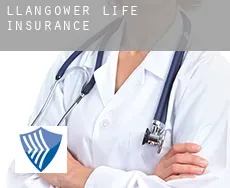 Llangower life insurance