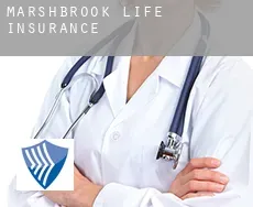 Marshbrook  life insurance
