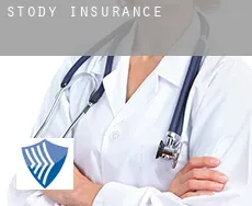Stody  insurance