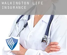 Walkington  life insurance