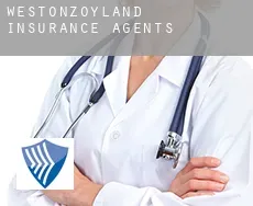 Westonzoyland  insurance agents
